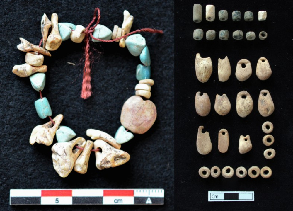 Les archéologues ont trouvé des dents humaines utilisées comme bijoux il y a 8500 ans